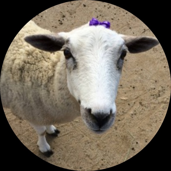 willow_farm